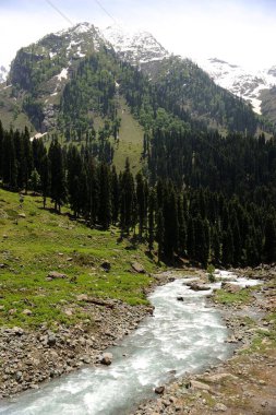 Su vadide akıyor, Kaşmir, Jammu ve Kaşmir, Hindistan