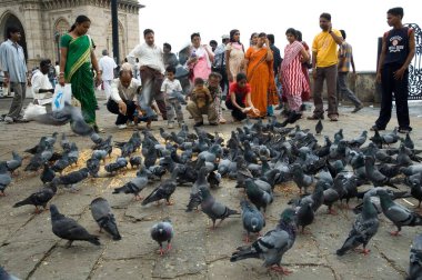 İnsanlar Hindistan Gateway, Chatrapati Shivaji Udyan, Apollo Bunder, Bombay Mumbai, Maharashtra, Hindistan, Asya 'da güvercinleri besliyor. 