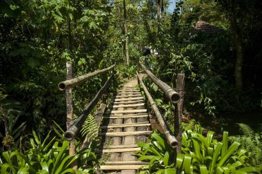 Tahta köprü, koorg, karnataka, Hindistan, Asya 