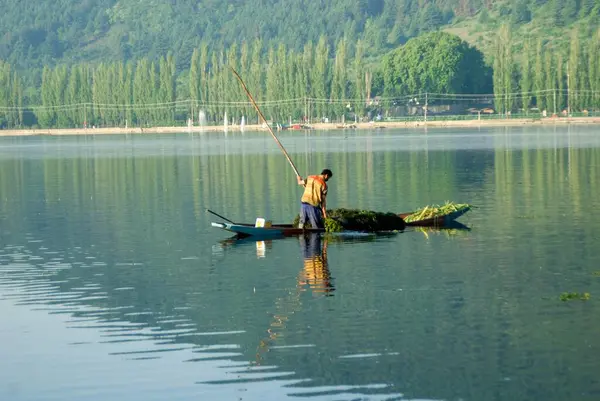 Teknede Srinagar Gölü ve Kashmir Hindistan Asya 'yı temizleyen bir adam var.