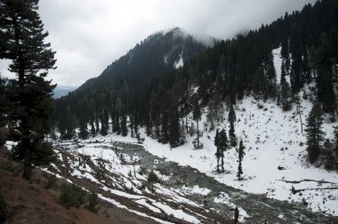 Lidder Nehri, pahalgam, kaşmir, Hindistan, Asya 