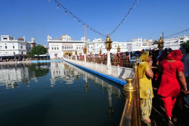 Altın Tapınak, Amritsar, Punjab, Hindistan, Asya kuyruğuna girenler  