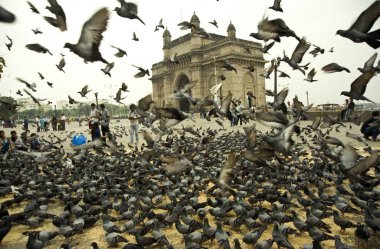 Hindistan Mumbai Hindistan Asya 'nın kapısı. 