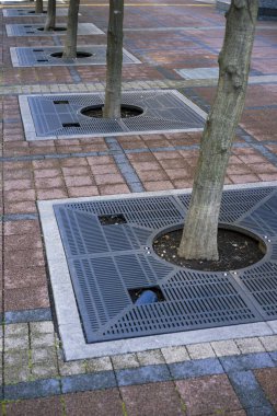 Sokakta demir ızgaralı ağaçlar, Tokyo, Japonya 