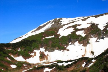 Karlı dağ; Juneau; Alaska; Amerika Birleşik Devletleri