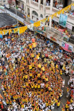 Safra yüzlükleri, insan piramidi, Dahikala, Janmashtami Janmashtami Gokul Govinda festivali, Dadar, Bombay, Mumbai, Maharashtra, Hindistan 