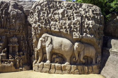 Fil oyması duvar mahabalipuram tapınağı tamilnadu Hindistan Asya 