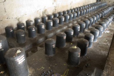 Thanjavur tapınağında Tanrı Shiva Lingas; Tamil Nadu; Hindistan