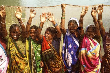 Kadınlar balıkçılık faaliyetinde, Carm Daksh, Bilaspur, Chhattisgarh, Hindistan 