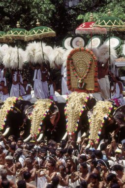 Trichurpooram yoksulluğu, Fil yürüyüşü mücevherli tapınak festivali, kerala, Hindistan 