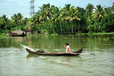 Kerala hanım kireç kabuğu taşıyor, Alappuzha, Kerala, Hindistan 