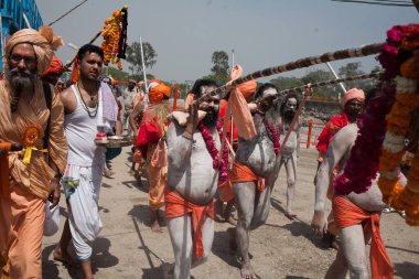 Naked Sadhus Haridwar Uttarakhand India Asia  clipart