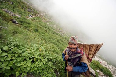 Uttaranchal, Hindistan 'ın yerlisi. 