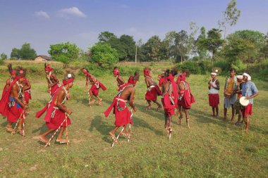 Gendi dansı, bastar, chhattisgarh, Hindistan, Asya 