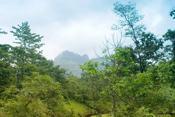 stock image View of mountain Mahuli and forest in monsoon, Shahapur district, Thane, Maharashtra, India 