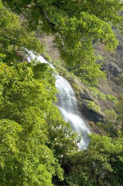 Falls at Nilgiris ; Kerala ; India clipart