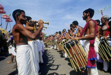 Kalabalık Fil Festivali, Kerala, Hindistan 'ı Kutluyor