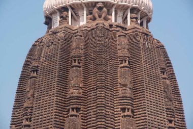 Jagannath Tapınağı, Puri, Orissa, Hindistan, Asya 