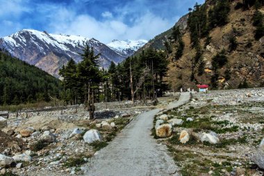 yol, Harsil, Uttarakhand, Hindistan, Asya