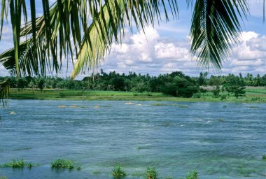 Cauvery Nehri, Srirangpatnam Mysore, Karnataka, Hindistan yakınlarında.