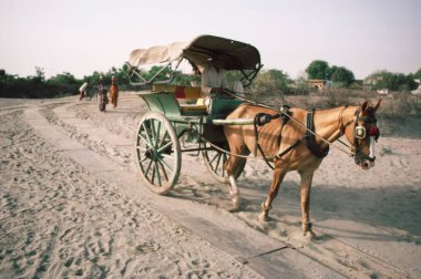 Horsecart, uttar pradesh, Hindistan 