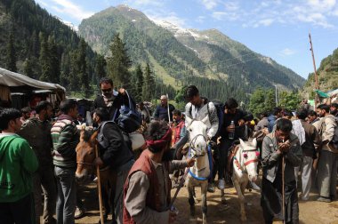 People riding on horse, amarnath yatra, jammu Kashmir, India, asia  clipart