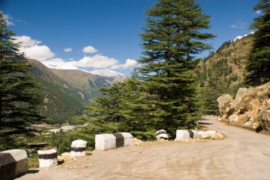 Kalpa Vadisi, Himachal Pradesh, Hindistan 
