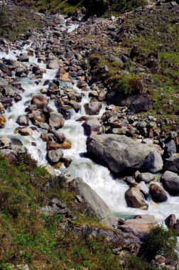 Mandakini nehri Kedarnath uttaranchal Hindistan Asya