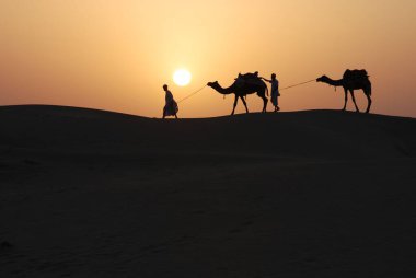Two men dragging camels at sunset, Khuri, Jaisalmer, Rajasthan, India  clipart