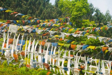 Rumtek Manastırı 'na giden dua bayrakları, Sikkim, Hindistan 