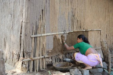 Warli kabilesindeki kadın ev duvarına inek gübresi uyguluyor, Maharashtra, Hindistan. 