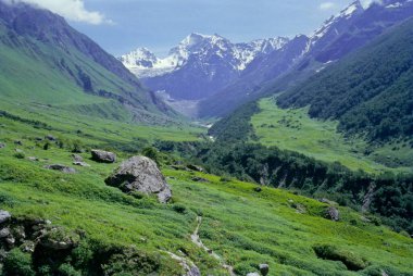 Çiçekler Vadisi Ulusal Parkı, Uttar Pradesh, Hindistan