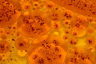 Su ve yağ yüzeyi deseni örüntü oluşturuyor  