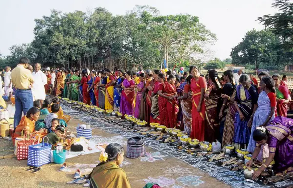 Pongal Festivali, Tamil Nadu, Hindistan 