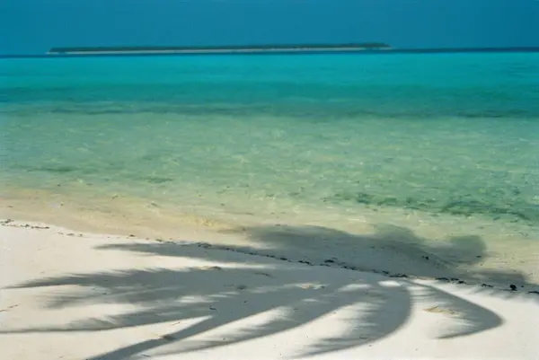 stock image Palm tree shadow beach and sea, Lakshadweep, India, Asia