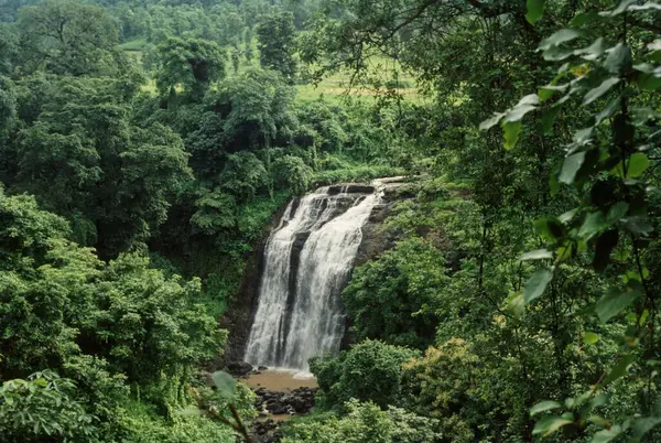 stock image Jog Waterfall , Karnataka , india