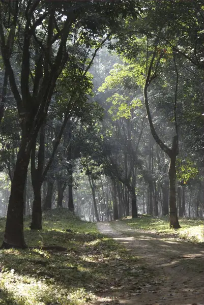 stock image Sepahijala sanctuary 35 km Agartala Tripura, India 