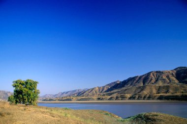 Narmada Nehri, Kadipani, Gujarat