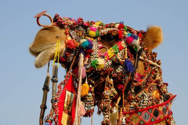 Pushkar Fuarı, Rajasthan, Hindistan 'da deve madalyası. 