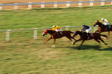 At yarışı, Mahalaxmi, Mumbai Bombay, maharashtra, Hindistan 