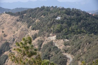 Kasauli 'deki manzara, Himachal Pradesh, Hindistan, Asya
