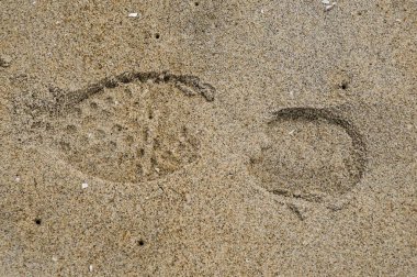 Sindhudurgh, Maharashtra, Hindistan 'daki Devbaugh plajında ayakkabı ya da ayak izleri. 
