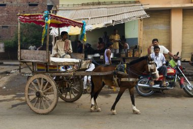 Binicisi olan at arabası, Bihar, Hindistan 
