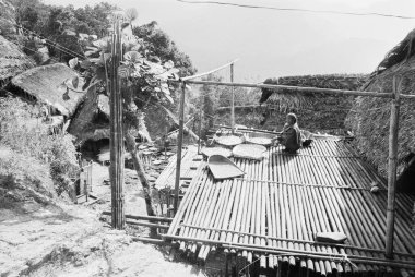 Tirap bölgesindeki Nocte kabilesinin üyesi bambu platformunda sebze kurutuyor, Arunachal Pradesh, Hindistan 1982 