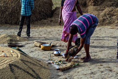 Çiftçi ilk hasat gününde tavuk kurban etmeye hazırlanıyor Andhra Pradesh, Hindistan, Asya 