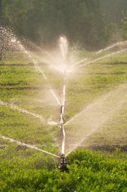Fıskiyeler çiftliklerde sulama için kullanılır.