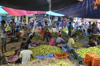 Men buying fruits in vegetable market, Kolkata, West Bengal, India, Asia  clipart