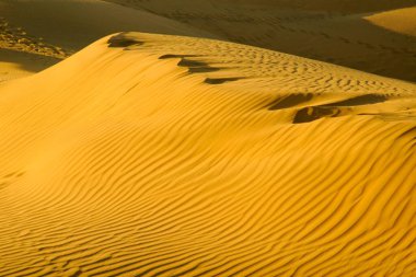 Sam, Jaisalmer, Rajasthan, Hindistan 'daki kum tepeciklerindeki dalgalanma tasarımıdır.