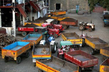 Traktör vagonları Sangli, Maharashtra, Hindistan 'daki şeker fabrikasında kalan gübre için kuyruğa girdiler. 