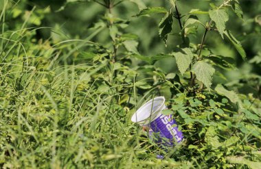 Pepsi plastic glass throw in grass, trekking to Hemkund, uttaranchal, india clipart